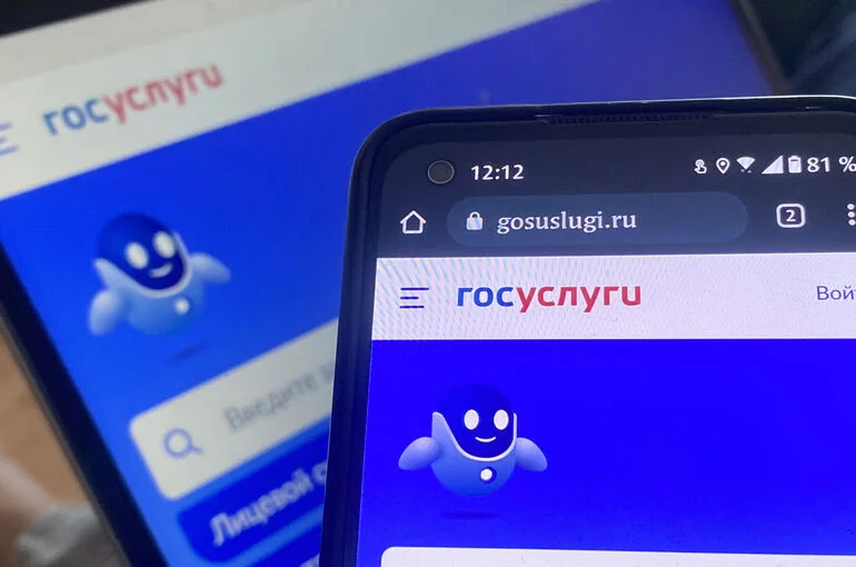 Подключение к электросетям стало доступно полностью через «Госуслуги»