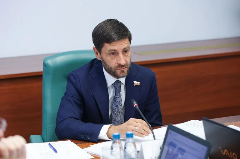 Сенатор Синицын обсудил развитие системы реабилитации участников СВО