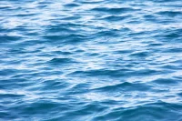 Роспотребнадзор контролирует качество морской воды в районе атаки на танкер