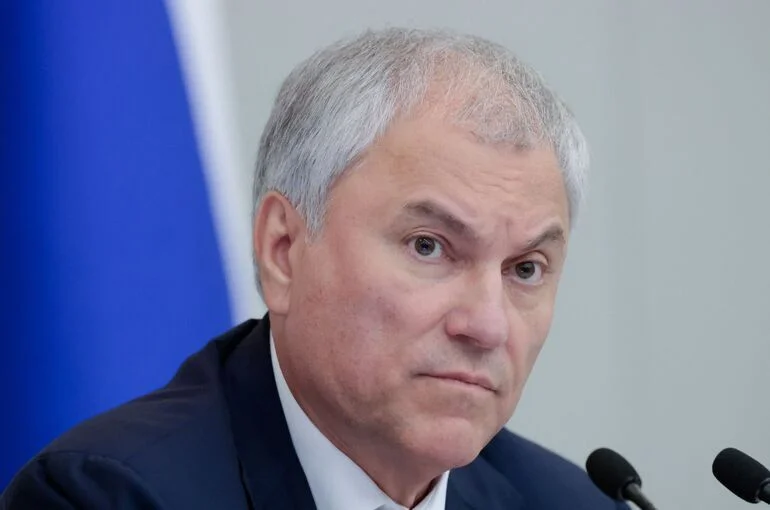Володин избран сопредседателем Межпарламентской группы РФ