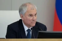 Володин призвал положить конец занижению целевых показателей госпрограмм