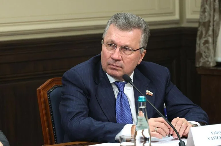 Сенатор Васильев призвал ускорить работу над законопроектом о российской полке
