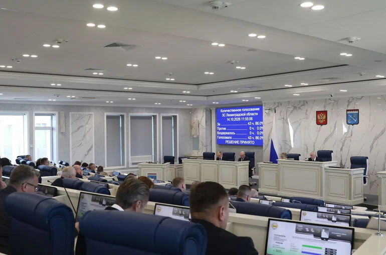 Депутаты Ленинградкой области сформировали рабочие органы