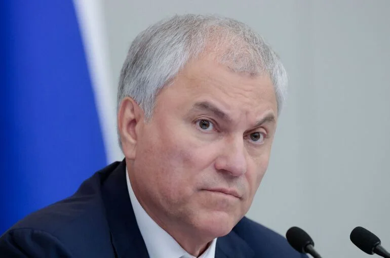 Володин назвал тему защиты здоровья детей ключевой в законодательной повестке