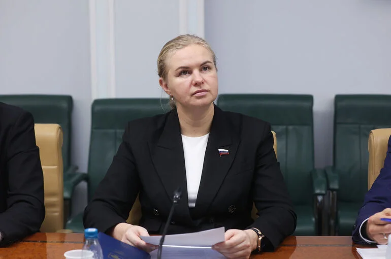 Сенатор Грибкова отметила важность правового регулирования платформенной занятости