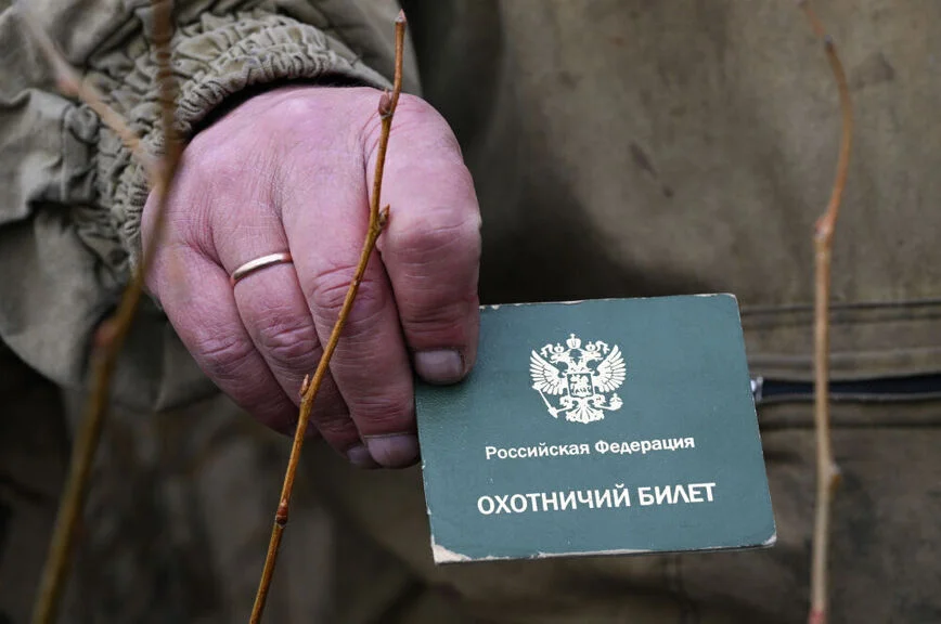 Медвежий угол: почему Россия оказалась на пороге конфликта с хищниками