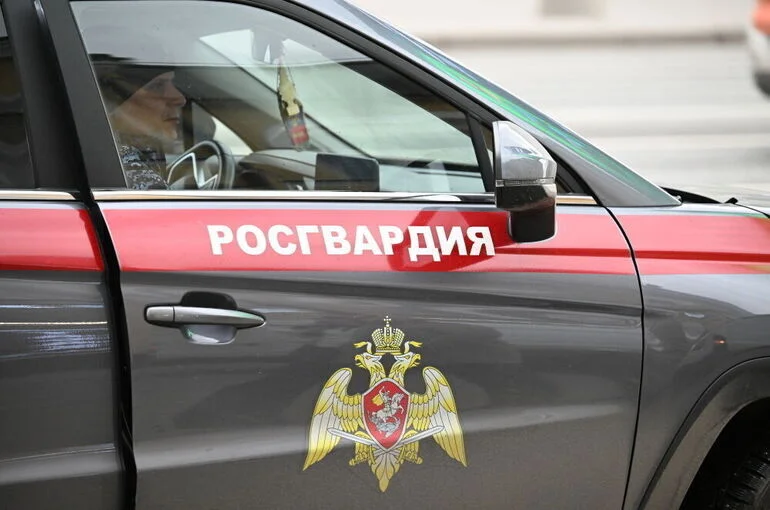 Росгвардии предложили дать больше полномочий для охраны электростанций 