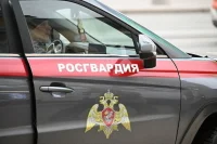 Росгвардии предложили дать больше полномочий для охраны электростанций 