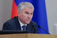 Володин: Парламентарии РФ примут участие в 12-м Парламентском Форуме БРИКС в Индии