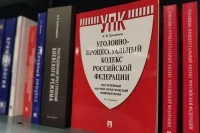 В Госдуму внесли законопроекты об ускорении освобождения тяжелобольных осужденных