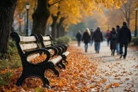 Теплая и сухая осенняя погода ожидается в Москве в предстоящие выходные