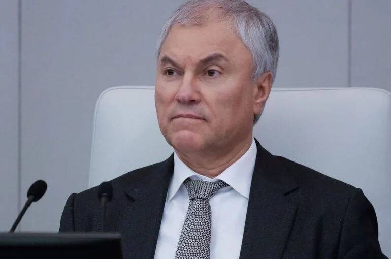 В Индии проходит встреча Володина с главой Народной палаты индийского парламента