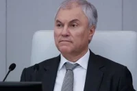 В Индии проходит встреча Володина с главой Народной палаты индийского парламента