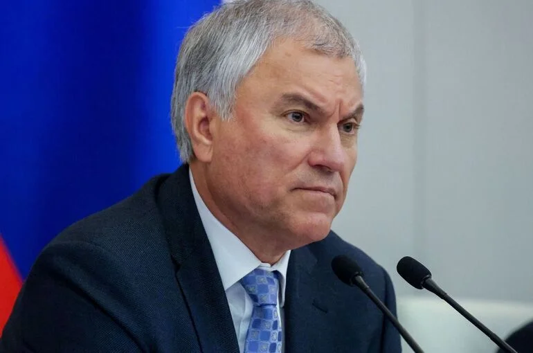 Володин поддержал расширение форм сотрудничества с Народной палатой парламента Индии