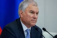 Володин поддержал расширение форм сотрудничества с Народной палатой парламента Индии
