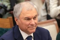 Володин в Индии провел переговоры с зарубежными коллегами
