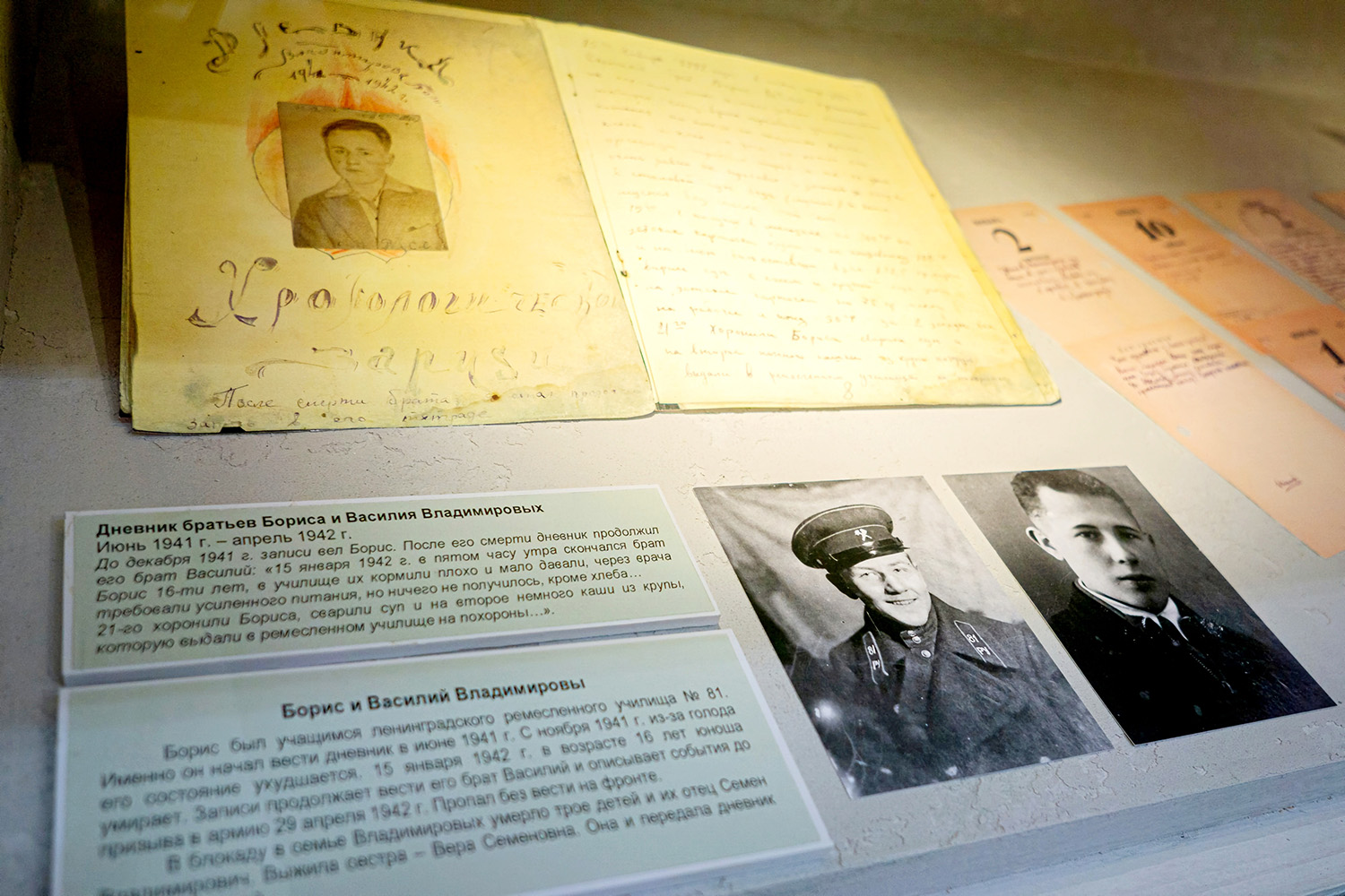 Источник – Полина Мякишева