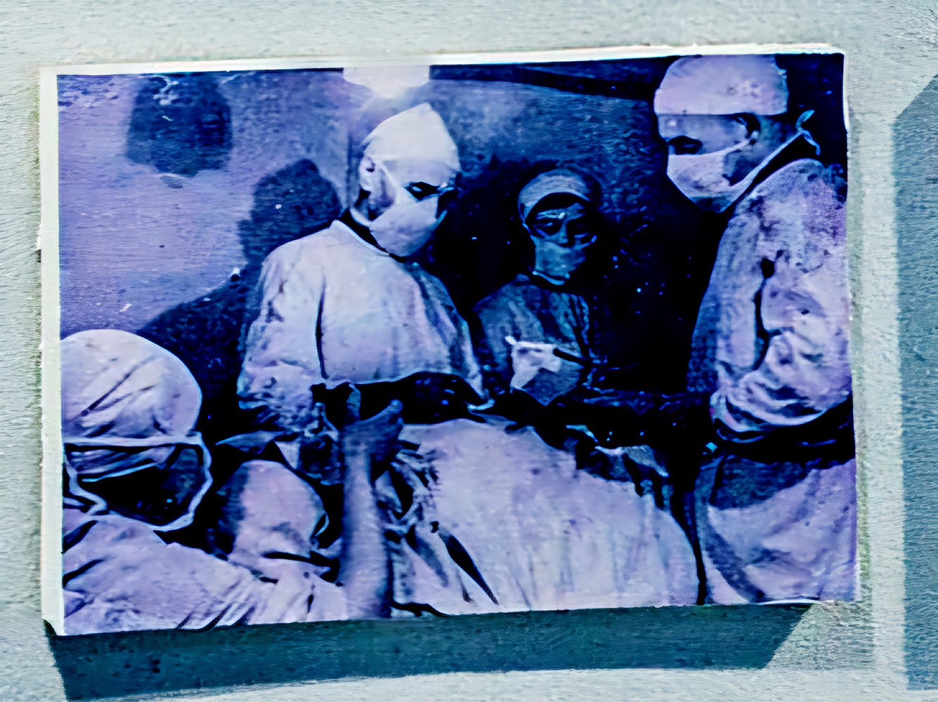 Источник – Полина Мякишева