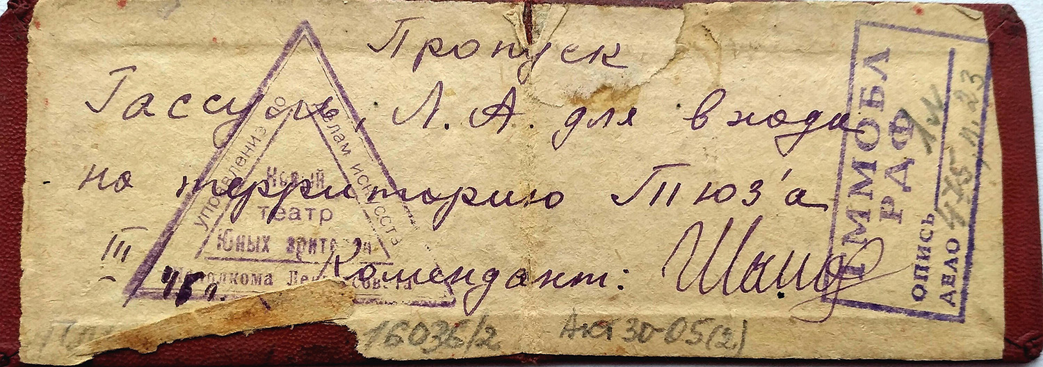 пропуск для прохода в ТЮЗ