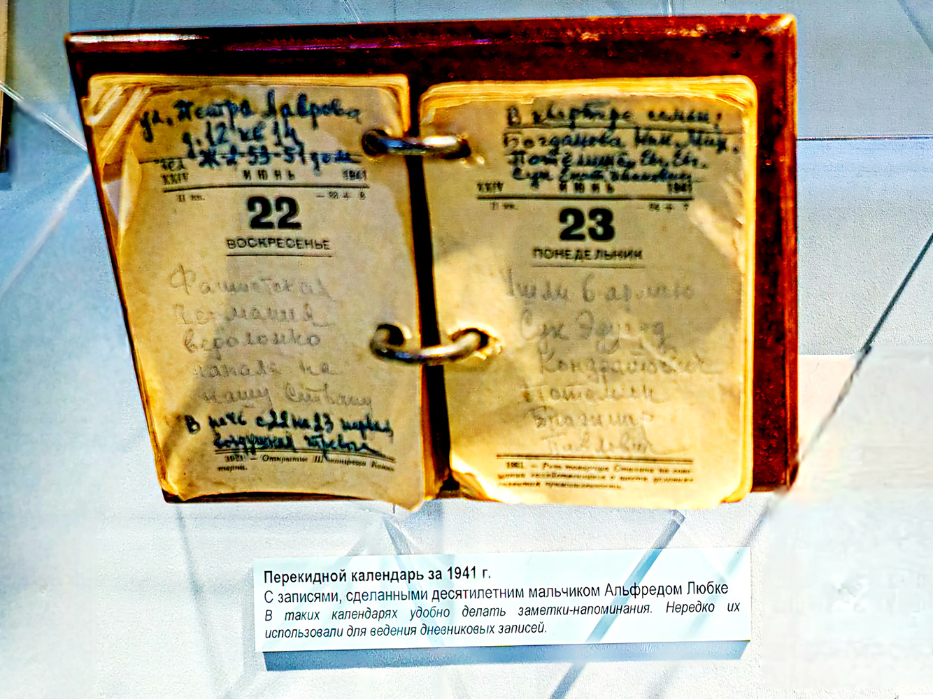 Источник – Полина Мякишева